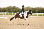 SBM_006829
