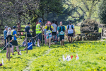 The Finish-1260