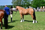 SBM_08071