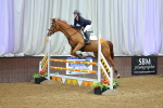 SBM_010413