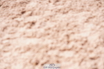 240505A-155614-07016