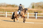 SBM_004688