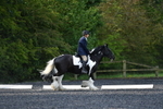 WJ5_8666