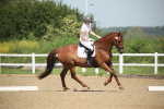 SBM_008693