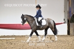BPP_8278