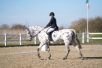 SBM_004259