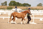 SBM_04527