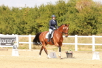 SBM_018583