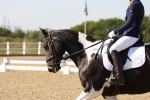 SBM_006492
