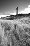 New years dawn mono