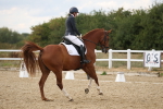 SBM_012006