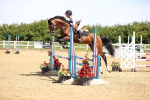 SBM_003806