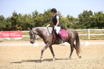 SBM_010377