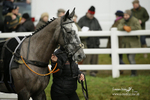 PtP 020122 511