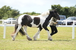 DSC07080