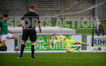 GFC v NORTHWOOD portfolio