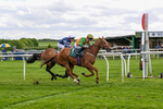 110526-Race 4-Irish Dancer-0863