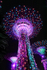 Supertree illuminated pink, Garden Rhapsody light show, Singapore