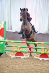 SBM_008338