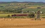 Train and Standing Stone