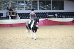 SBM_03649