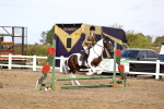 SBM_01735