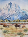 WCL01203 Where the Buffalo Roam