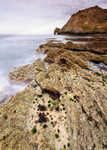 Devon: Prawle Point and Horse Head's Rock (3)