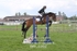 BPP_6562