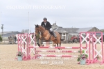 BPP_0539