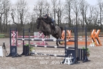 CLASS 9 148cm Pony Royal Highland Show Championship Qualifier portfolio