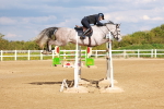 SBM_002388