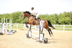 SBM_004956