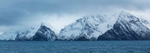 Antartica portfolio