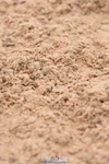 230830A-133126-00915