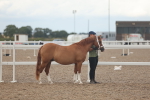 SBM_08446