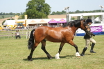 SBM_06978