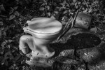 Riverside Installation - Mind The Nettles