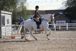 SBM_17536