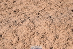 230526A-095450-01051