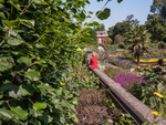 Woman with Red Jacket in Garden London 2016