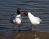 20110319-IMG_2462
