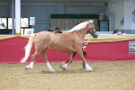 SBM_16587