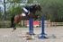 BPP_3842