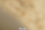 240309-153040-01550
