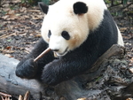 CHINA__0066