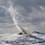 THAR SHE BLOWS - LONG POINT BEACH