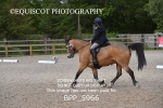 BPP_5966