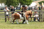 SBM_05219