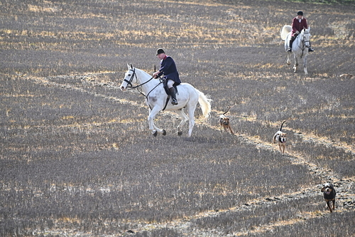 WJ6_8559